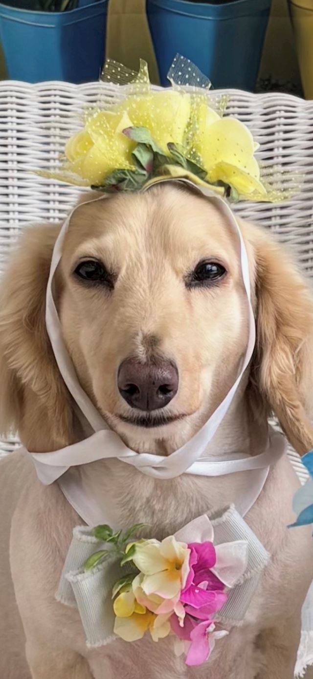 体験談画像