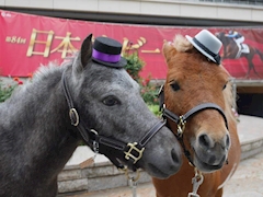 破壊王(再出戻り)