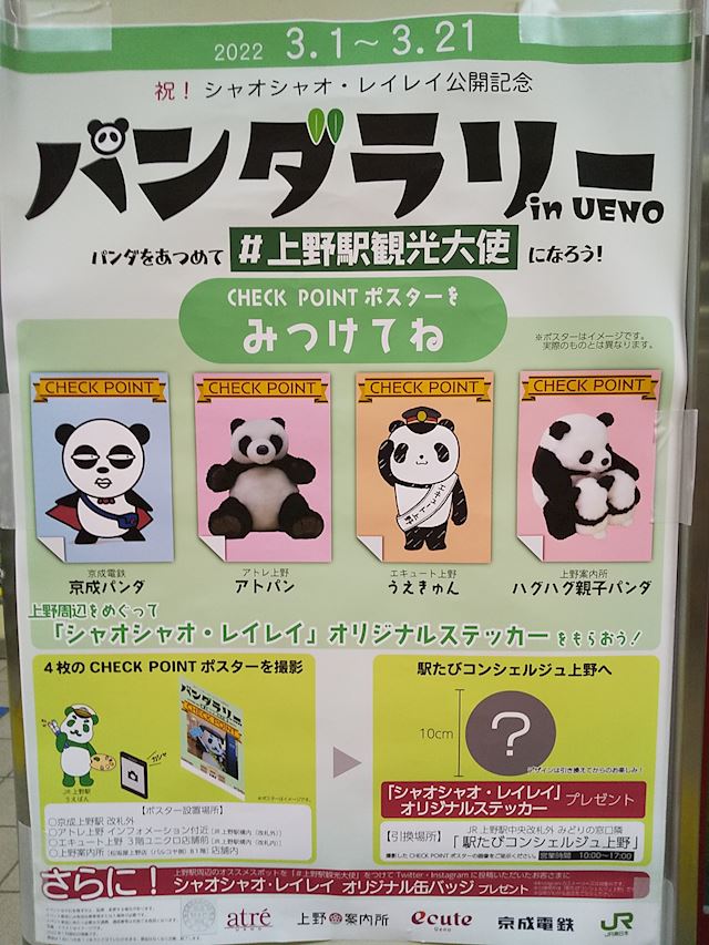 体験談画像