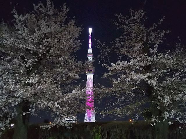 体験談画像