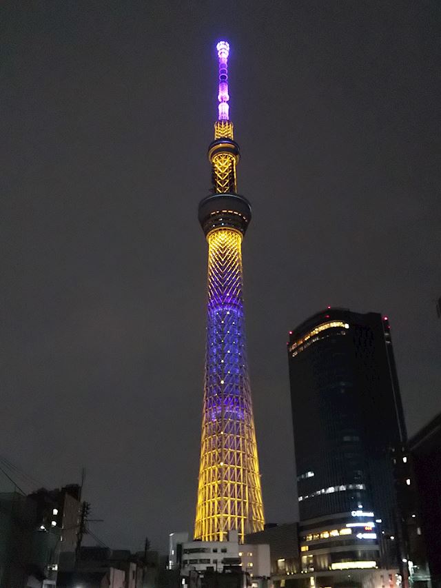体験談画像