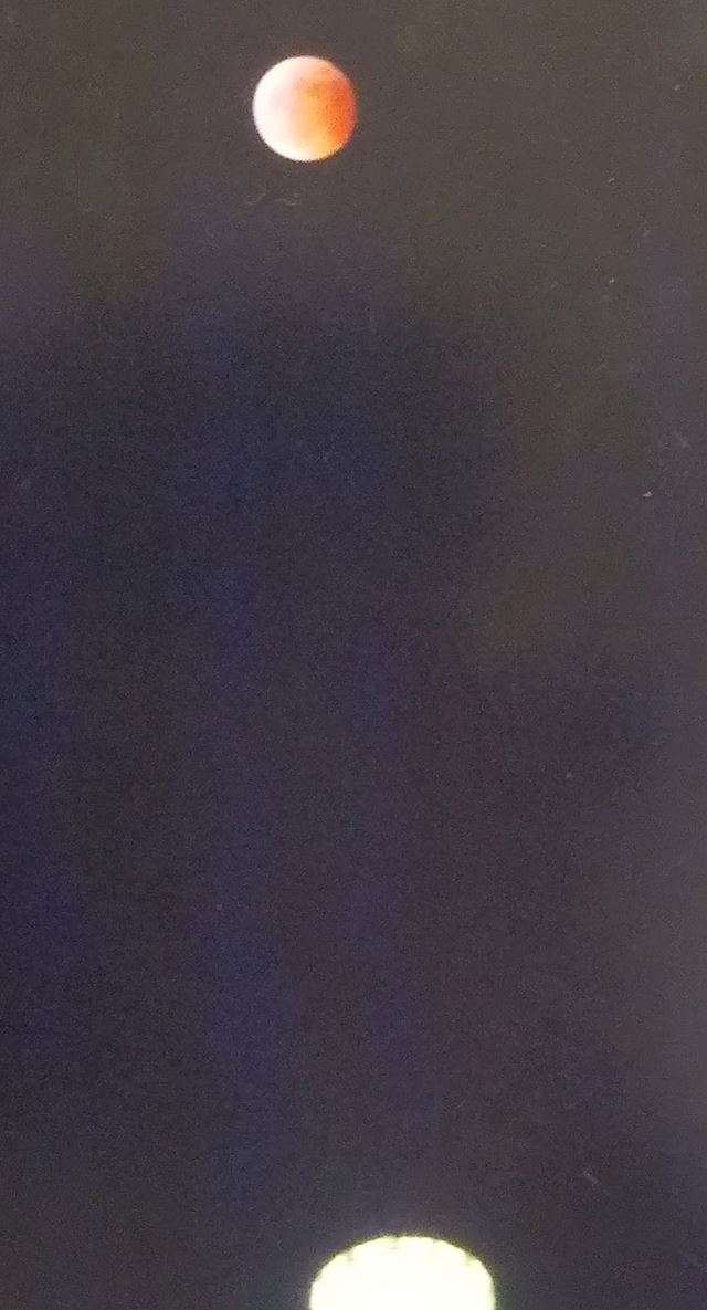 体験談画像