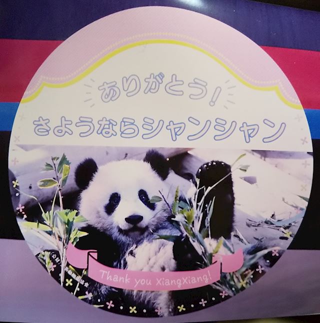体験談画像