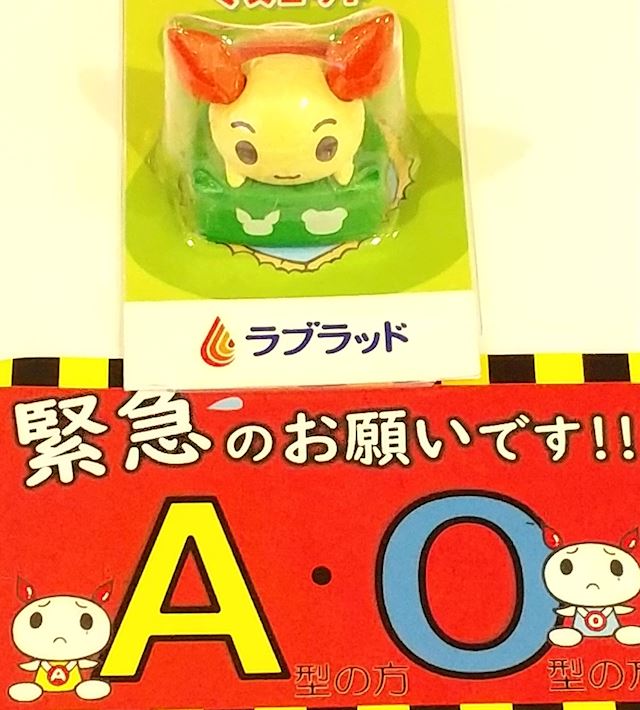 体験談画像