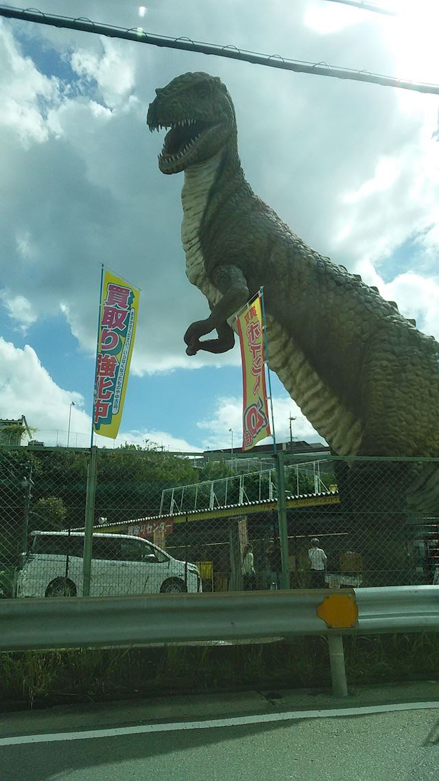 体験談画像