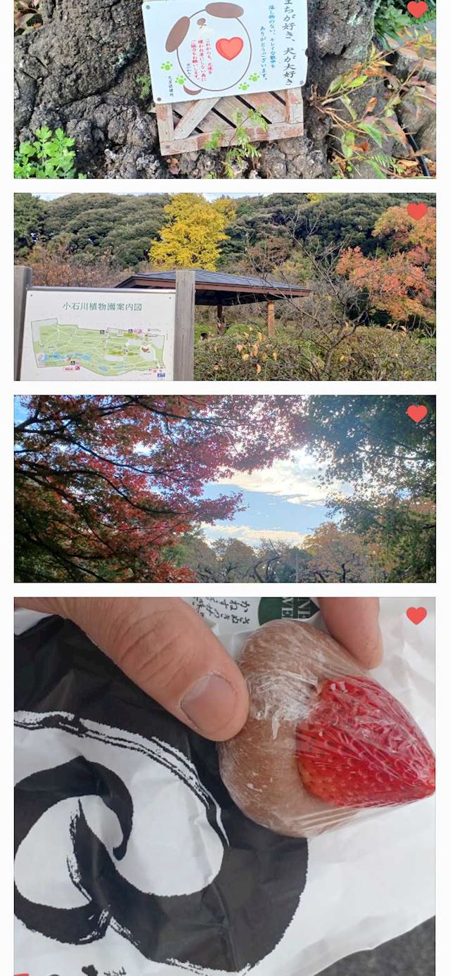 体験談画像