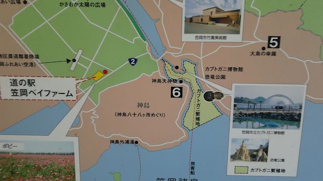 体験談画像