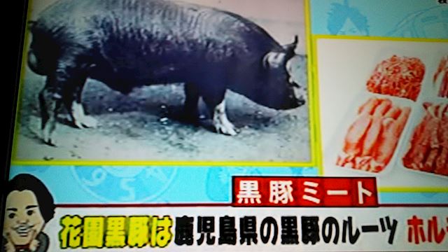 体験談画像