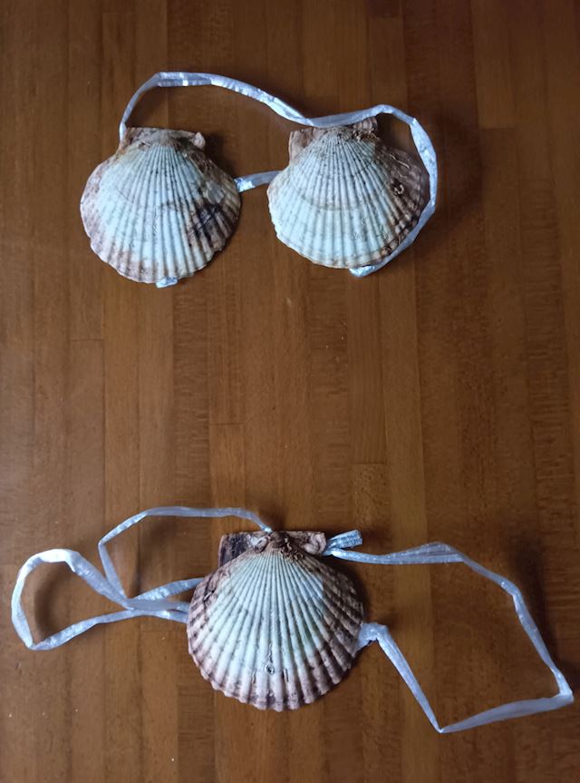 体験談画像