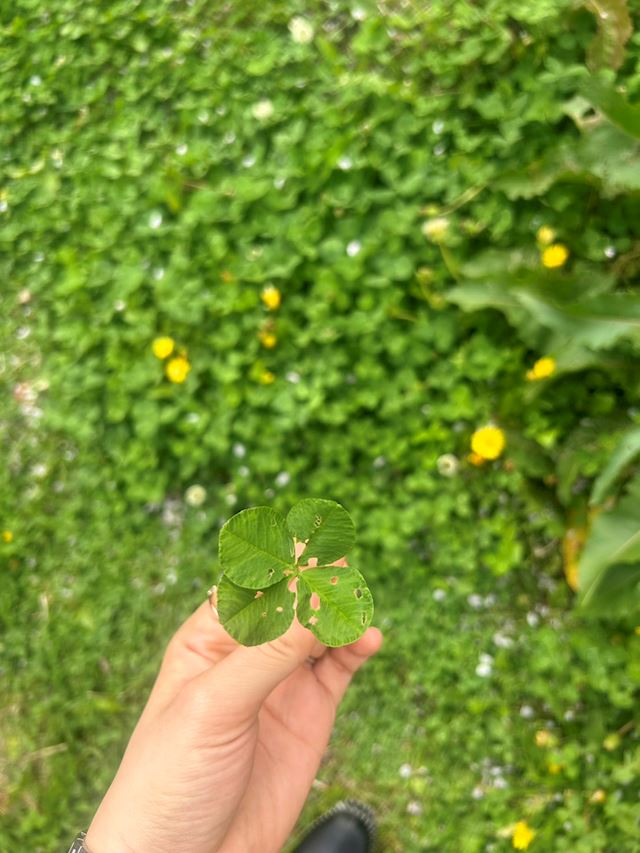 体験談画像