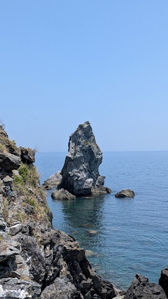 サンプラザ神田くん