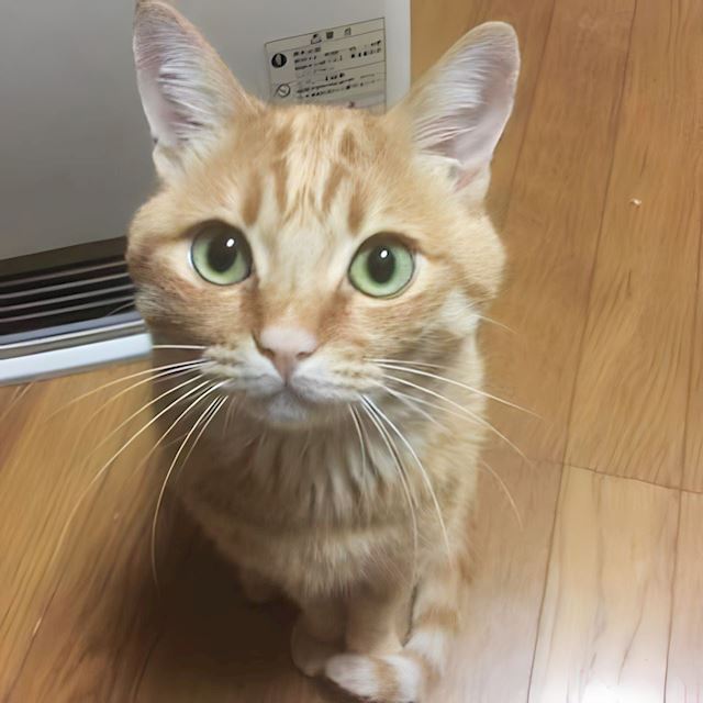 体験談画像