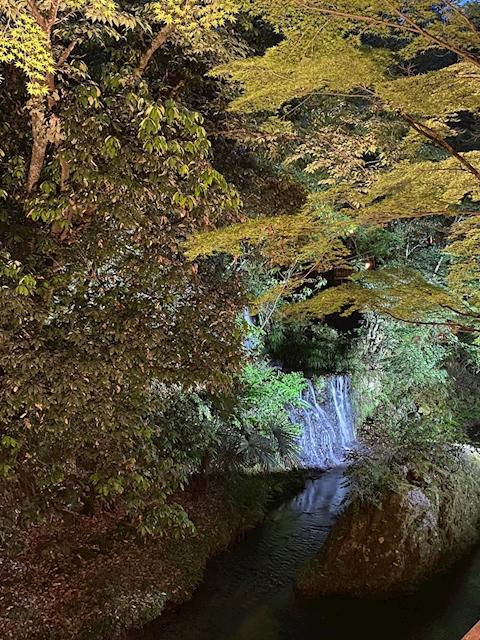 _memberNameHeader