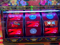 志波海燕