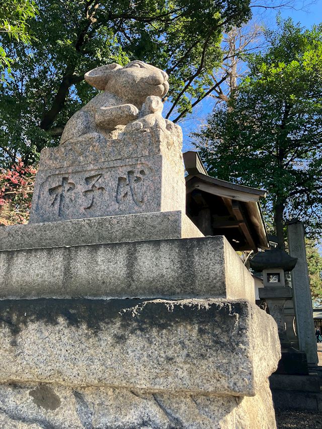 体験談画像