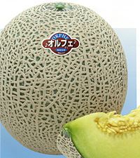 体験談画像