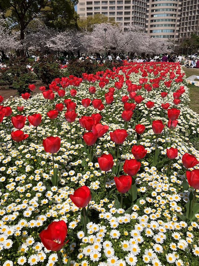 体験談画像