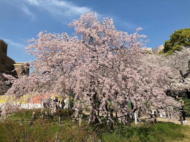 体験談画像