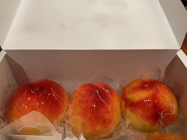体験談画像