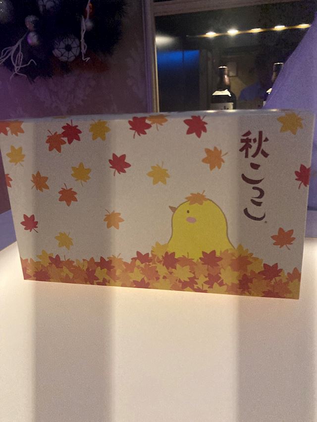 体験談画像