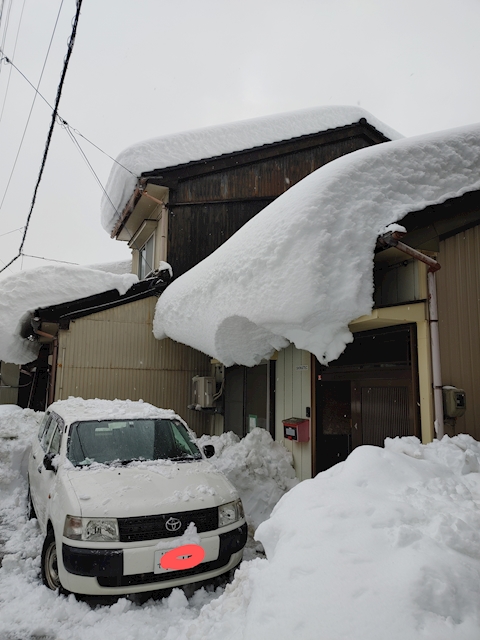 み の む し