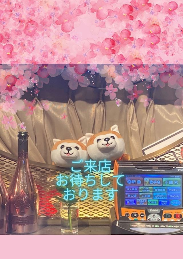 体験談画像