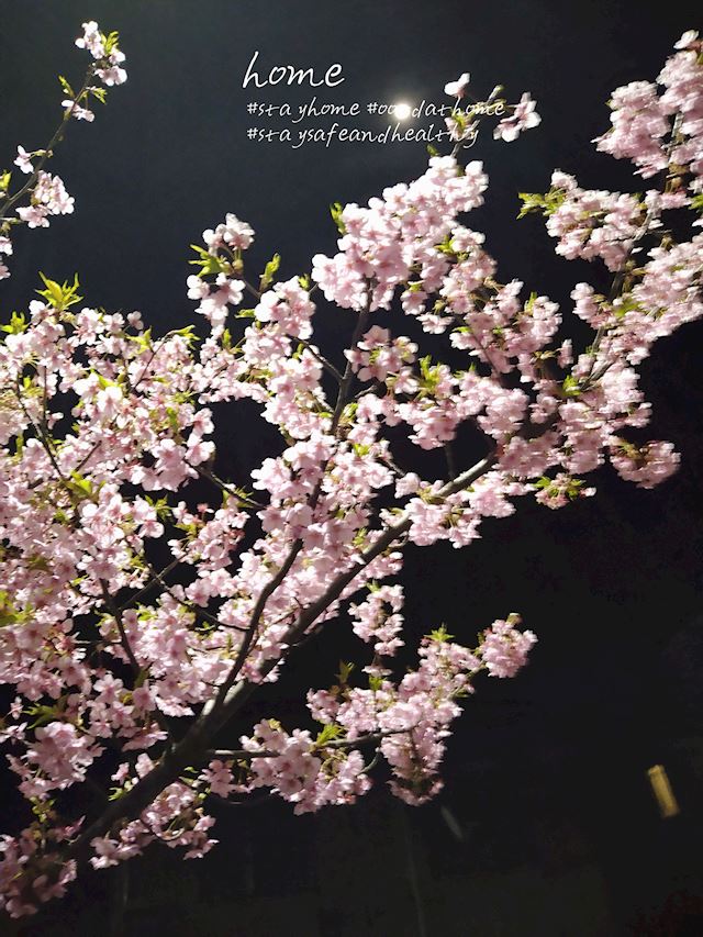 体験談画像
