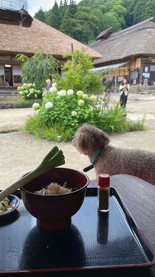 体験談画像