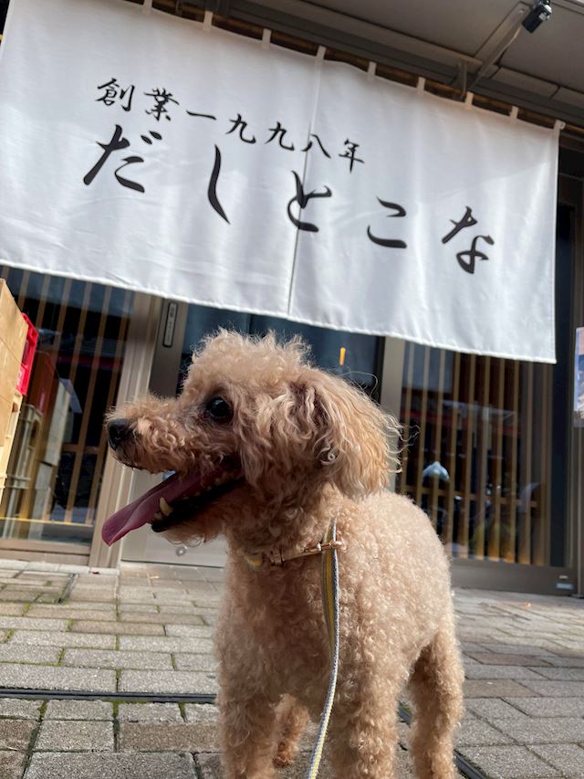 体験談画像
