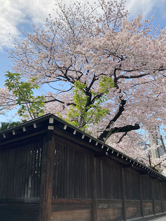 体験談画像