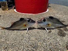 釣り好き H.I