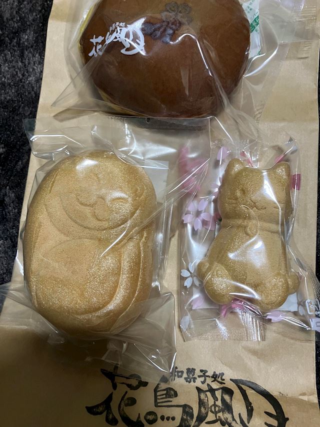 体験談画像