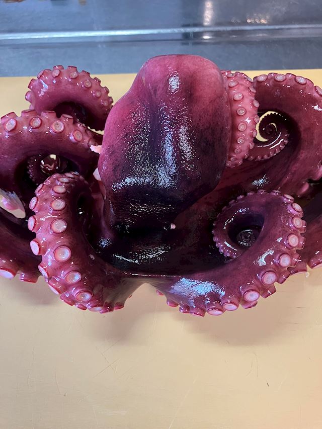 体験談画像