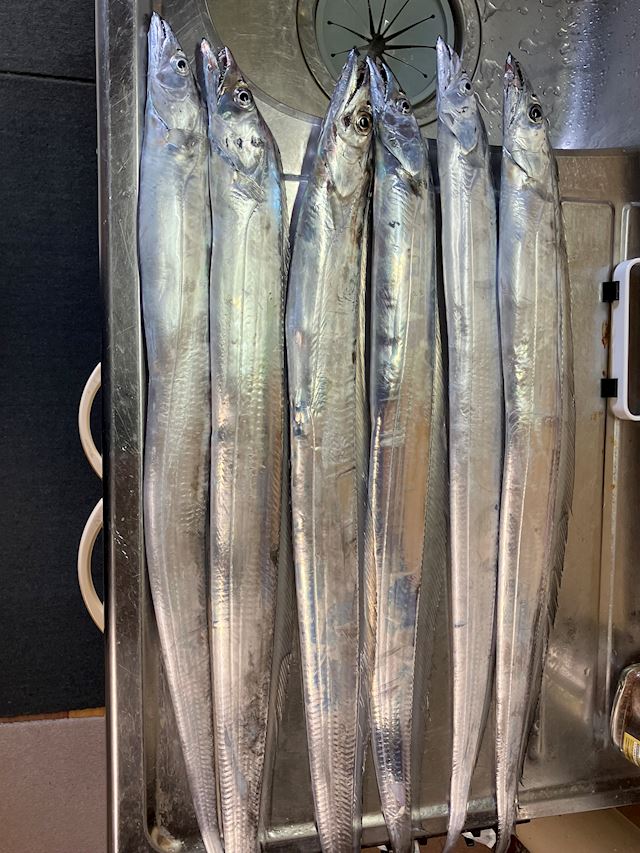 体験談画像
