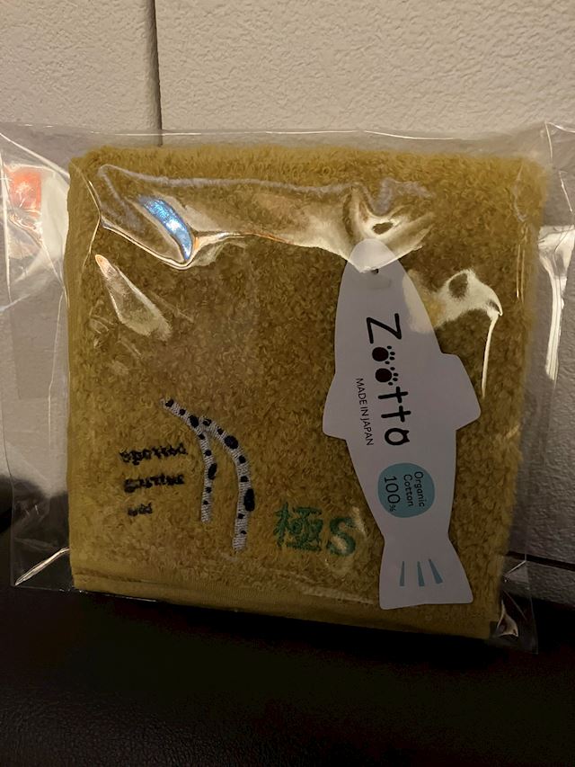 体験談画像