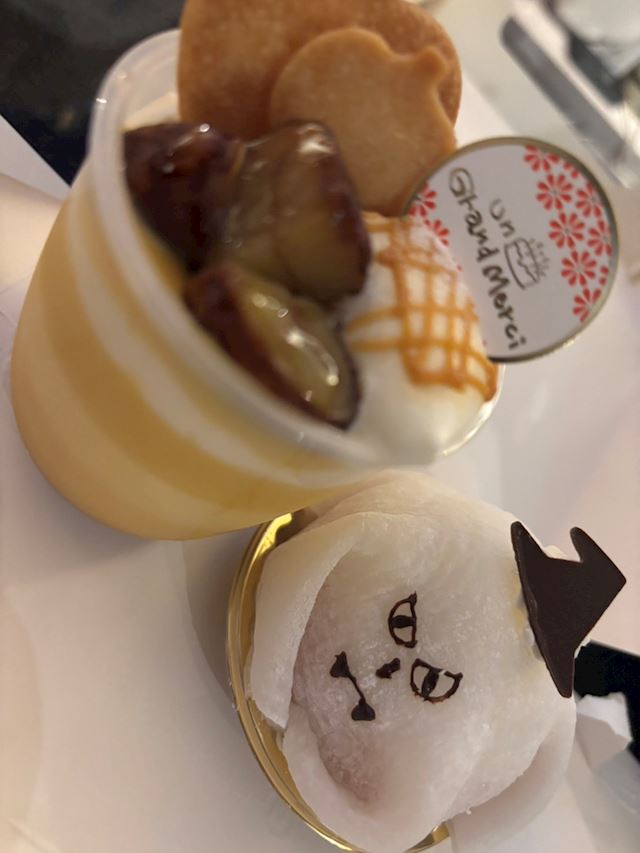 体験談画像