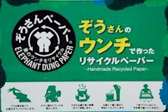 僕の象さん