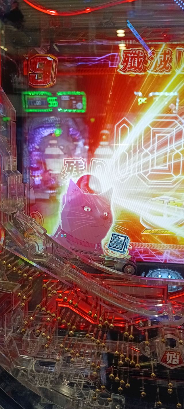 体験談画像