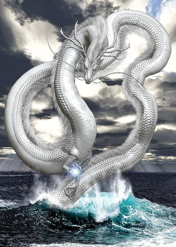 体験談画像