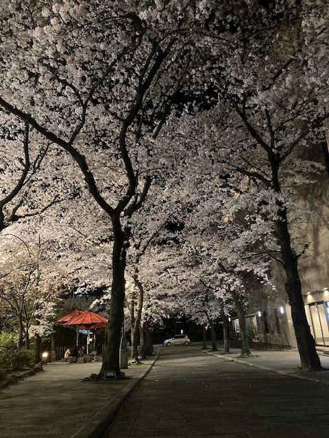 体験談画像
