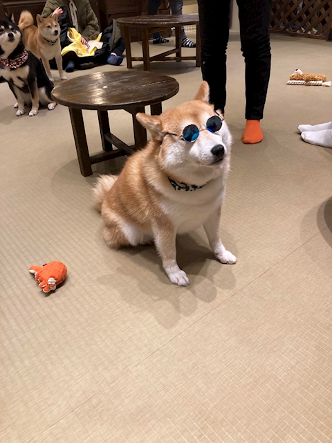 ふぁみま