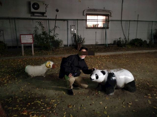 体験談画像