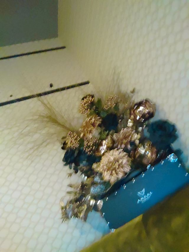 体験談画像