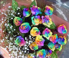 トワイライトエクスプレス