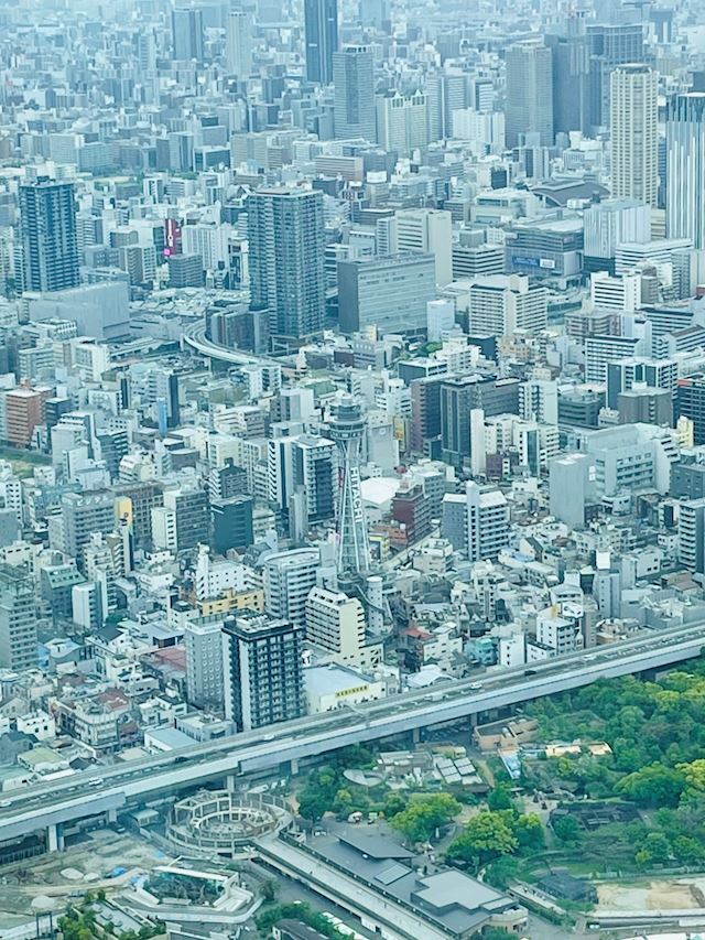 体験談画像