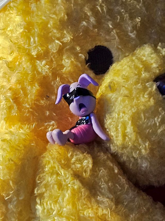 体験談画像