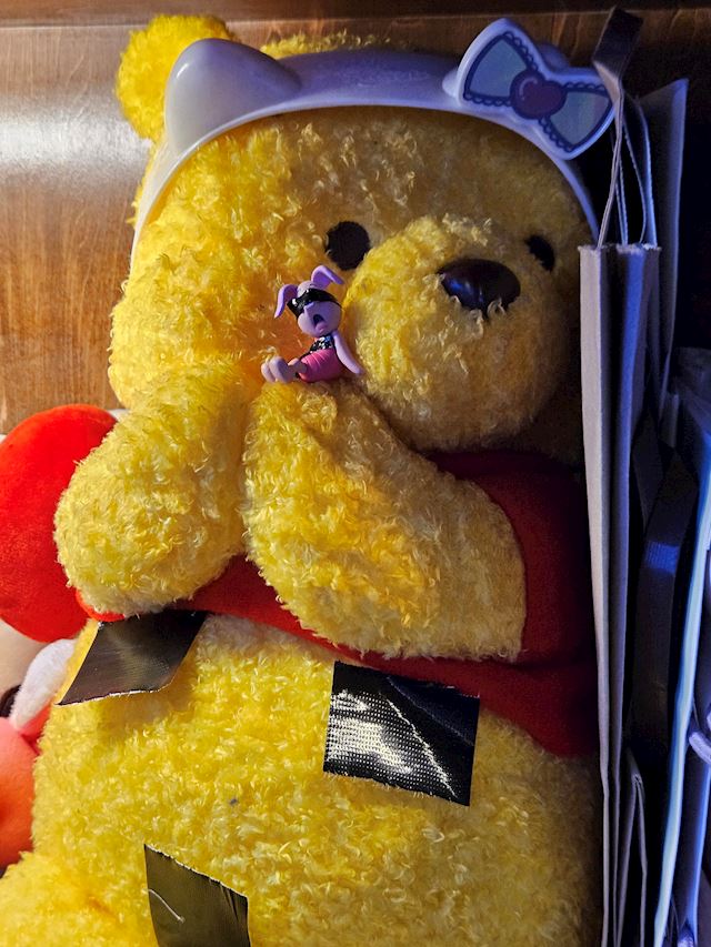体験談画像