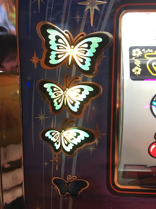 体験談画像
