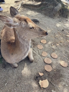 宇佐美勇太
