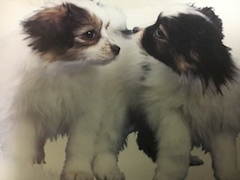 サプライズ貴公子晴